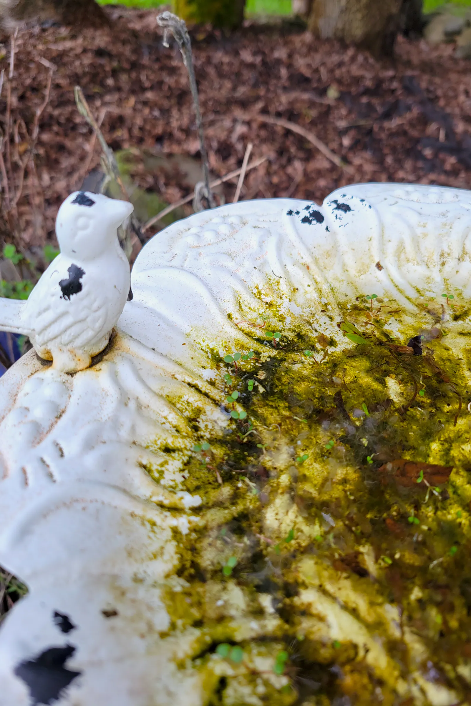 Life in Decay Inspirations — image 15