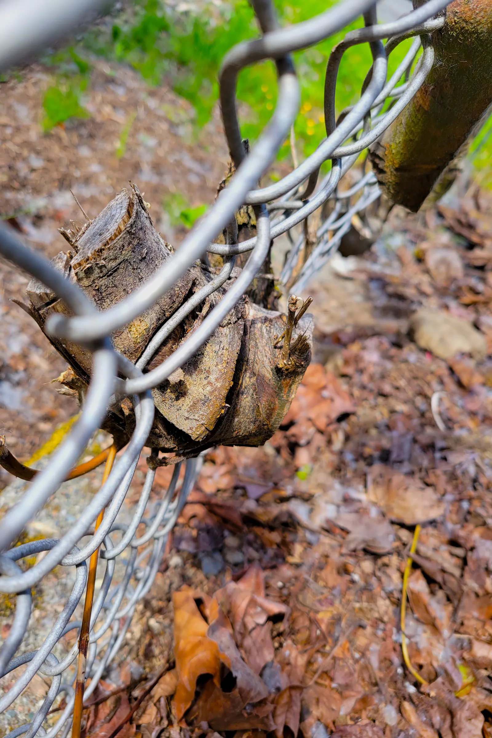 Life in Decay Inspirations — image 13