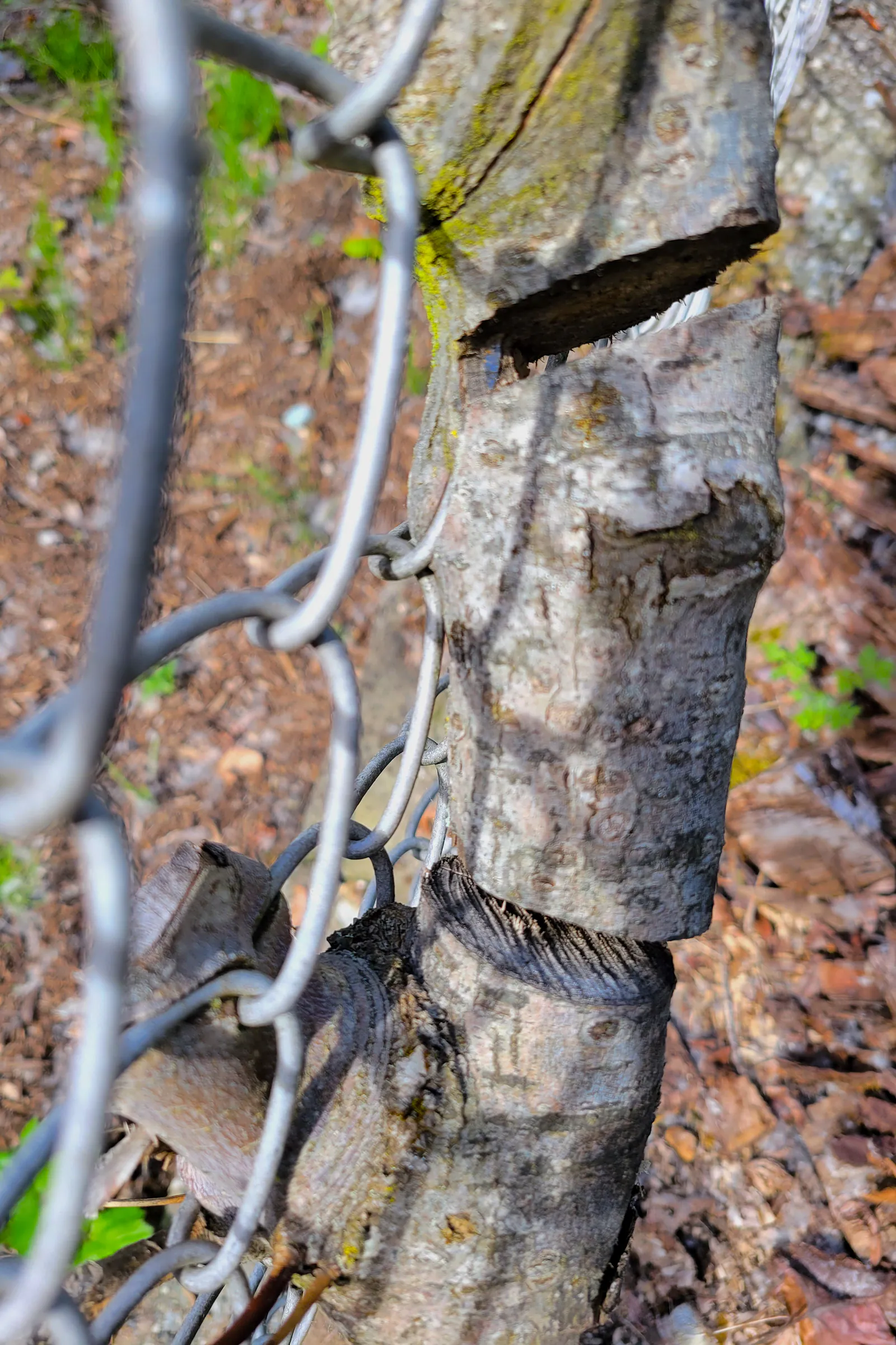 Life in Decay Inspirations — image 12