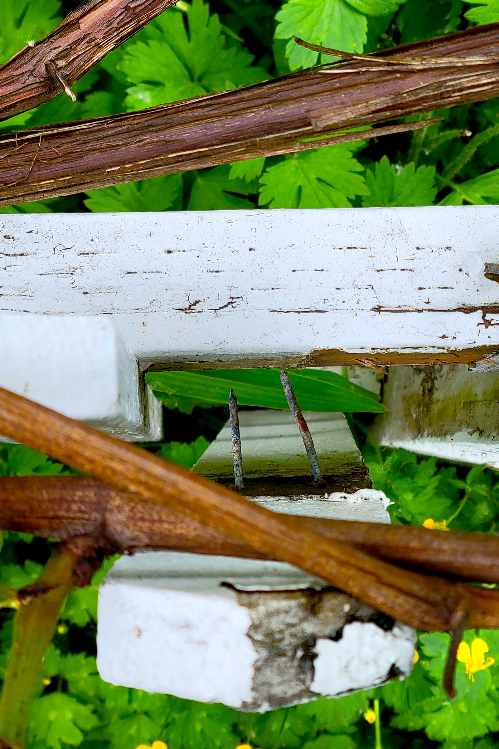 Life in Decay Inspirations — image 4