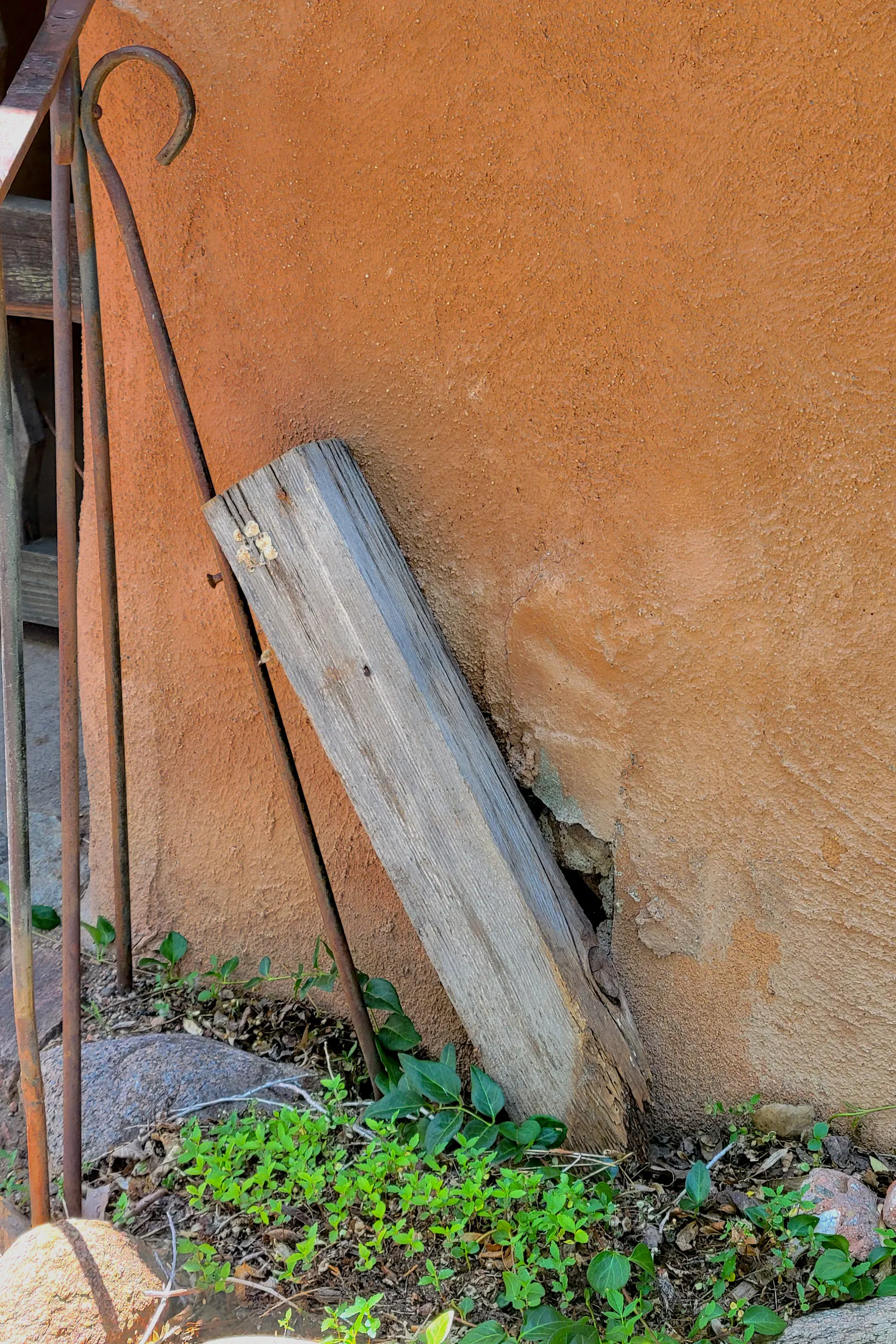 Life in Decay Inspirations — image 22