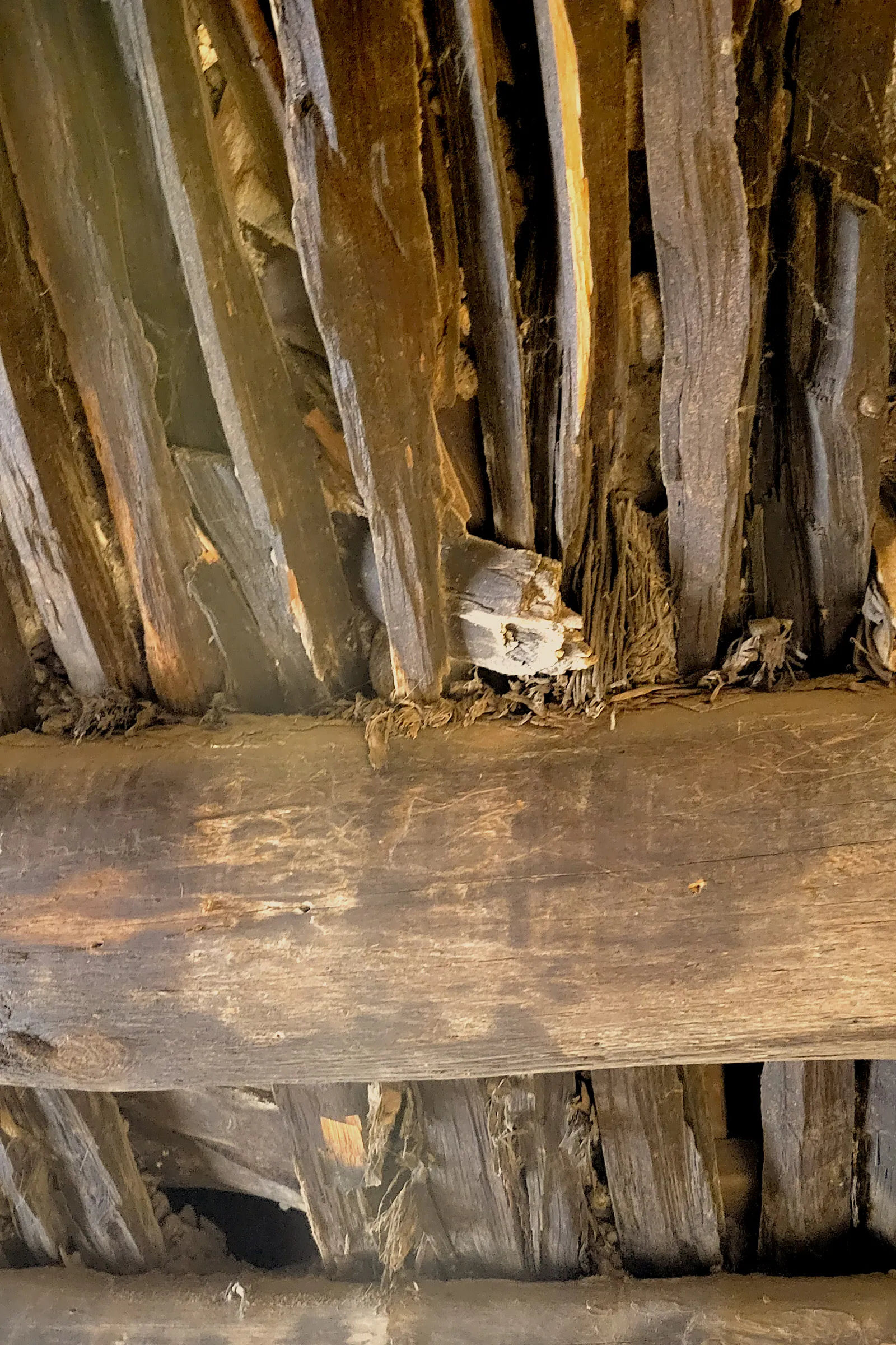 Life in Decay Inspirations — image 20