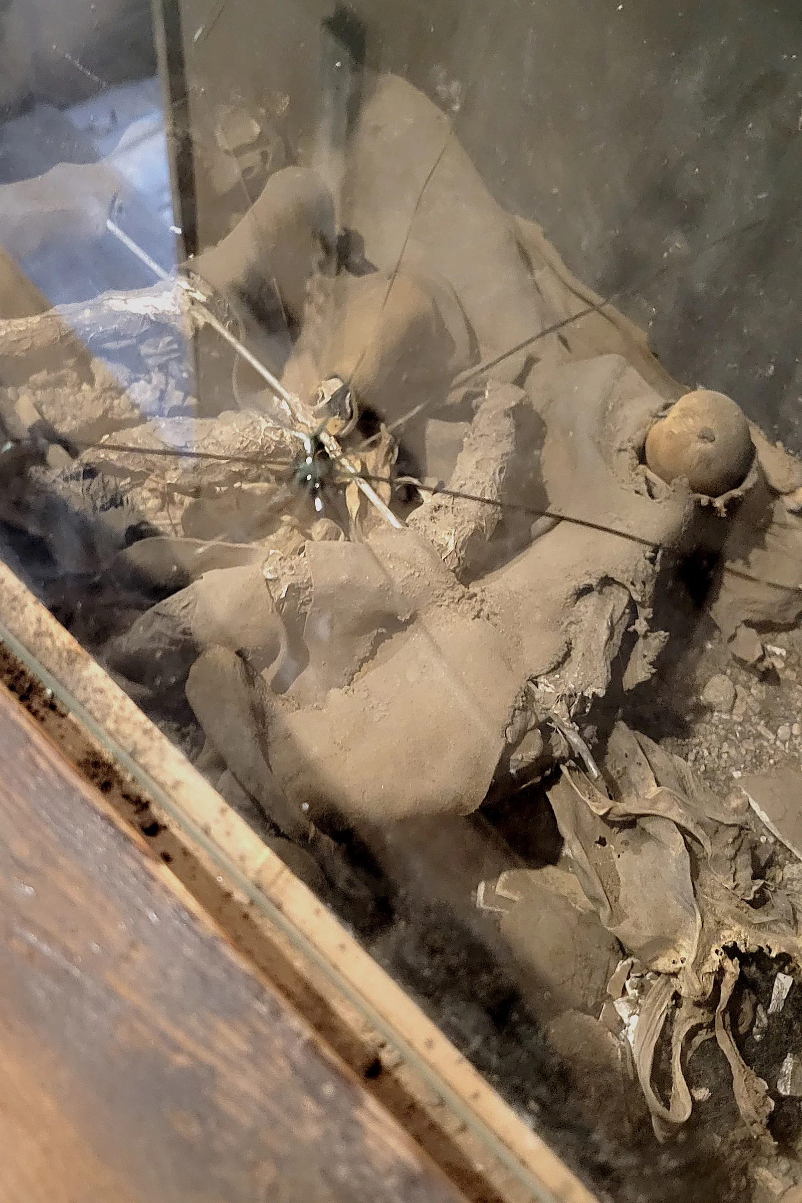 Life in Decay Inspirations — image 21
