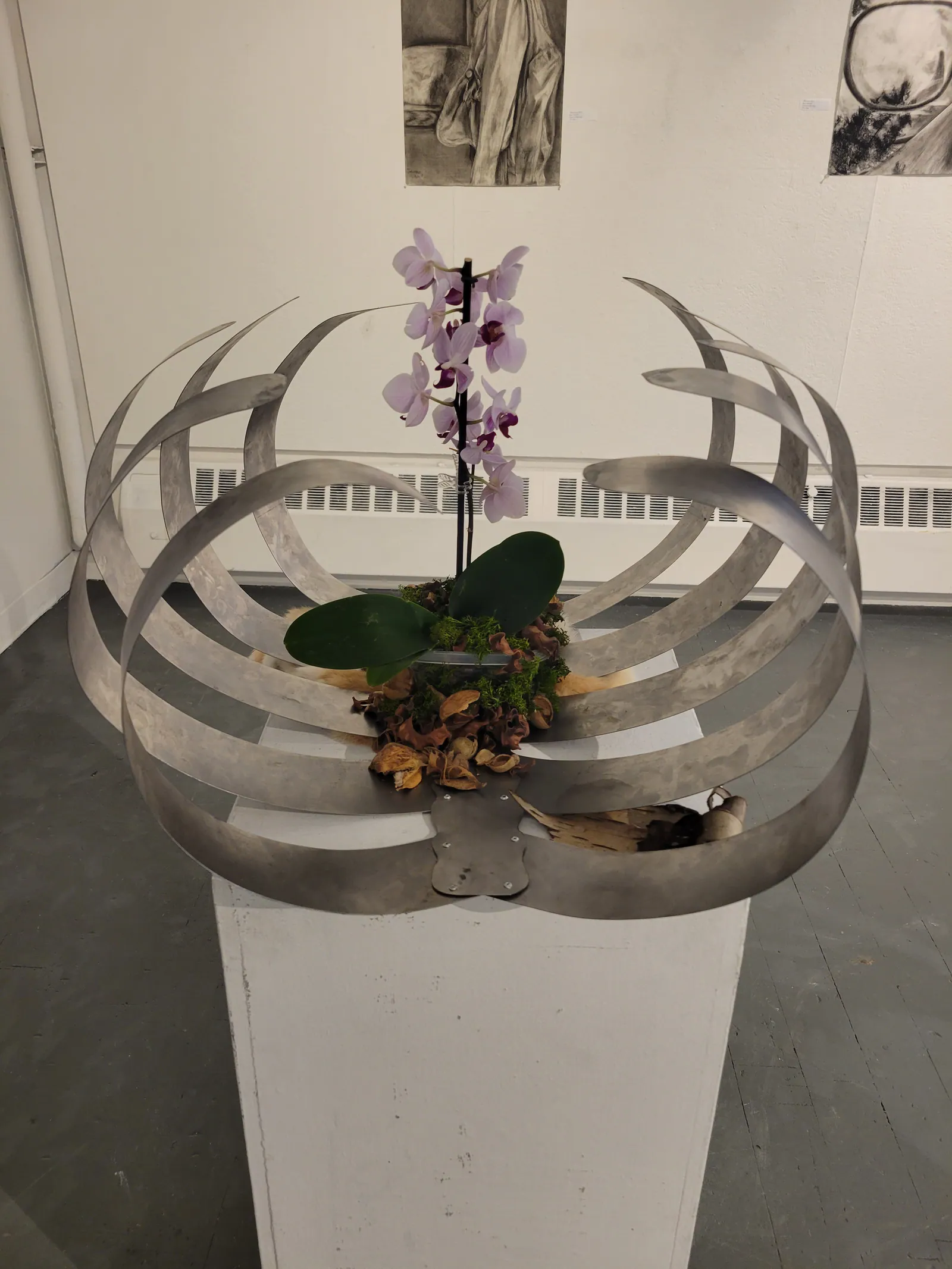 Life in Decay Exhibition 2022 — image 1