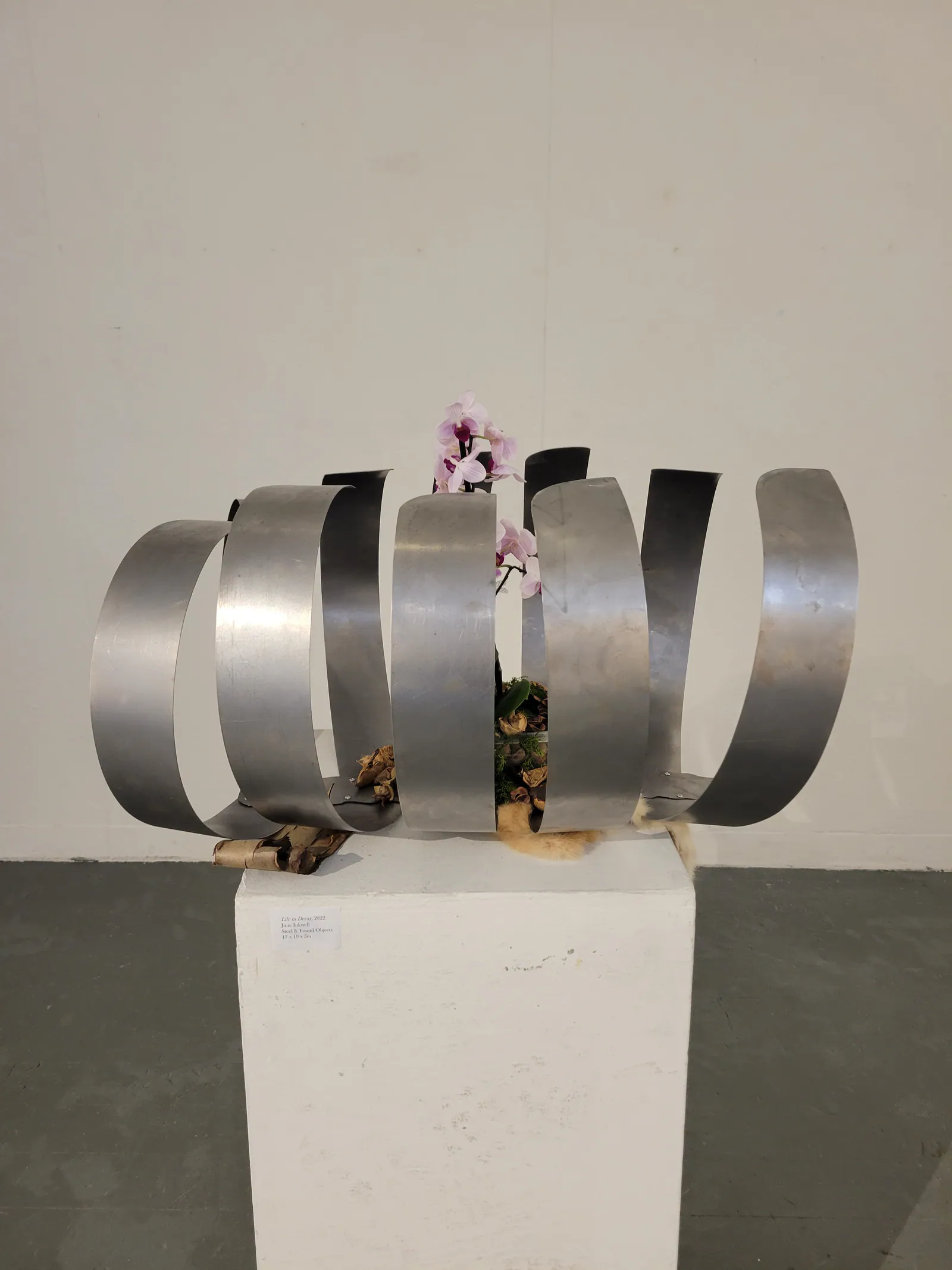 Life in Decay Exhibition 2022 — image 2