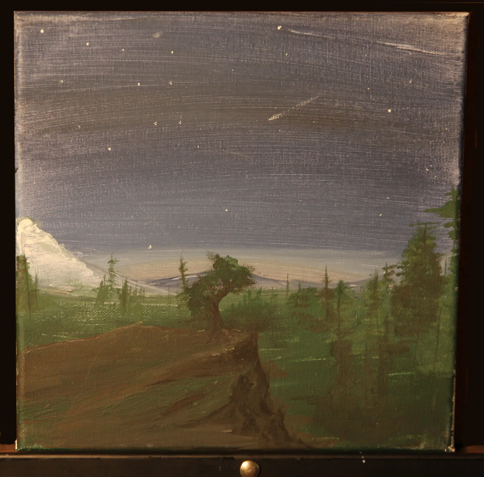 Acrylic or Not Acrylic. That is the Question. — image 6